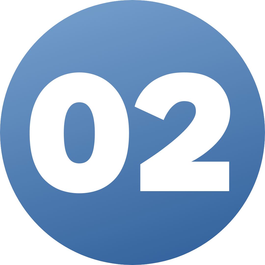 Phase: 02 — Build & Launch