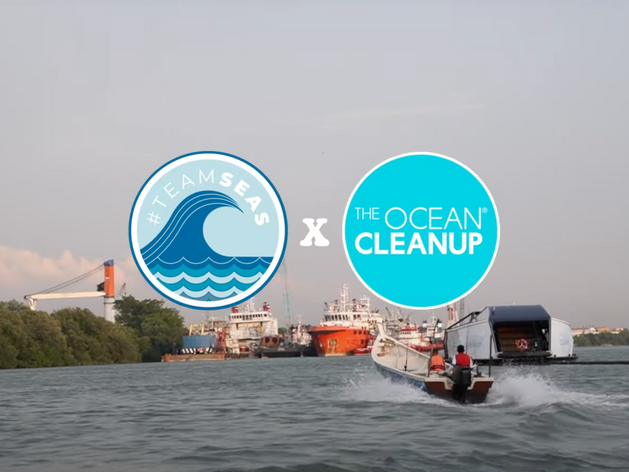 Mr Beast, Team Seas, Clean Habours