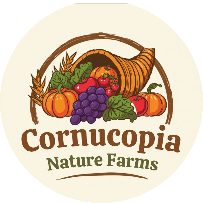 logo-image